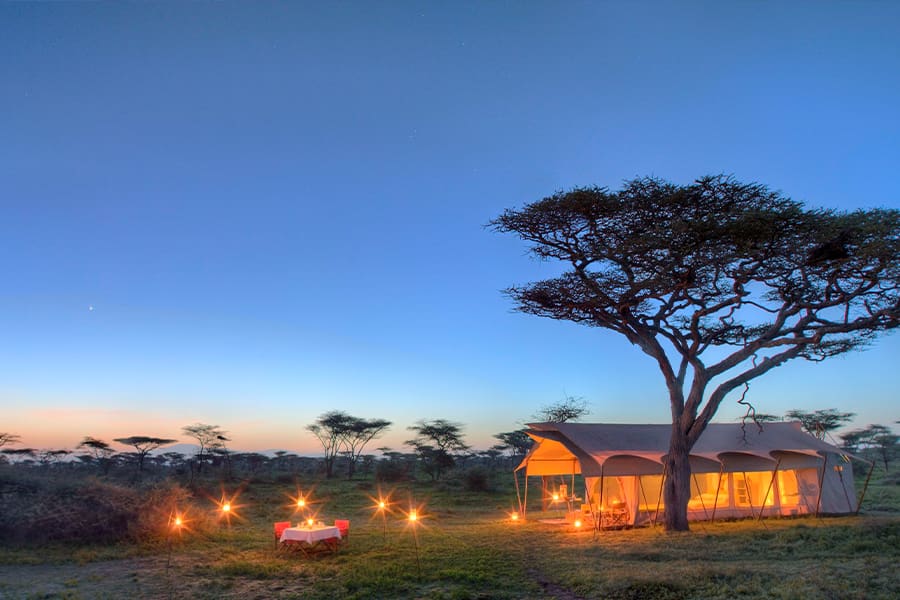 Safari Tanzanie : Serengeti & Ngorongoro - 8 jours