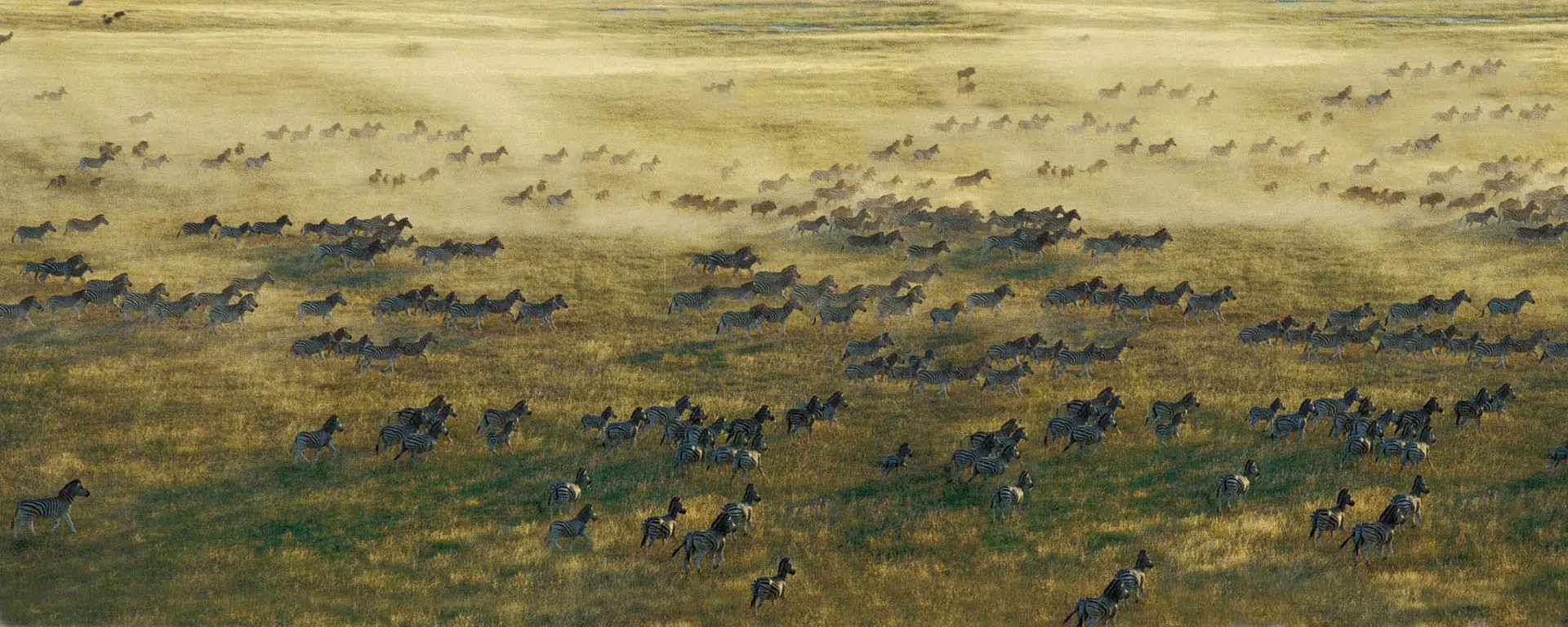 Namibie
