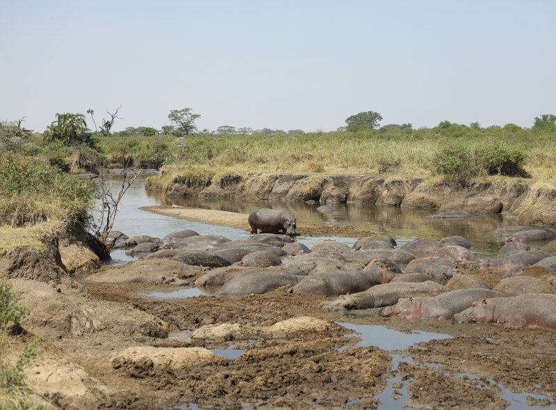 Malawi