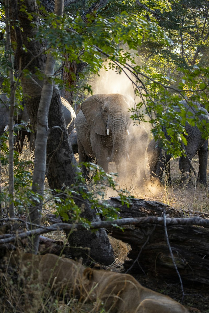Big Five